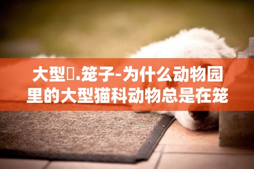 大型貓.籠子-為什么動物園里的大型貓科動物總是在籠子里繞來繞去？