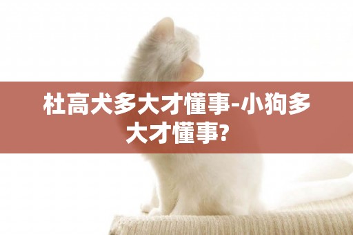 杜高犬多大才懂事-小狗多大才懂事?