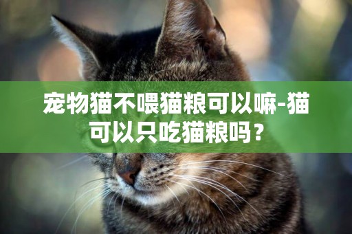寵物貓不喂貓糧可以嘛-貓可以只吃貓糧嗎？