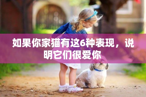如果你家貓有這6種表現，說明它們很愛你 