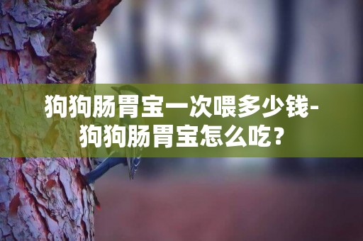 狗狗腸胃寶一次喂多少錢-狗狗腸胃寶怎么吃？