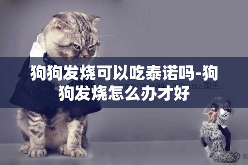 狗狗發燒可以吃泰諾嗎-狗狗發燒怎么辦才好