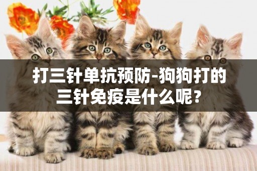 打三針單抗預防-狗狗打的三針免疫是什么呢？