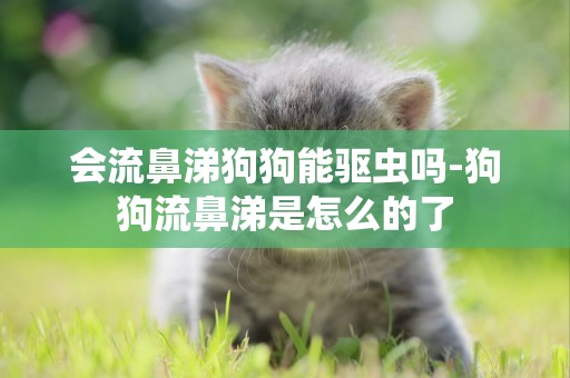 會流鼻涕狗狗能驅蟲嗎-狗狗流鼻涕是怎么的了