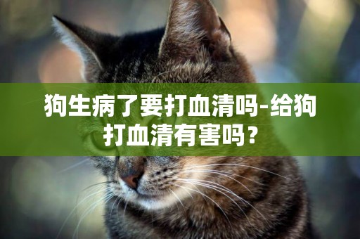 狗生病了要打血清嗎-給狗打血清有害嗎？