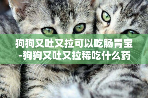 狗狗又吐又拉可以吃腸胃寶-狗狗又吐又拉稀吃什么藥