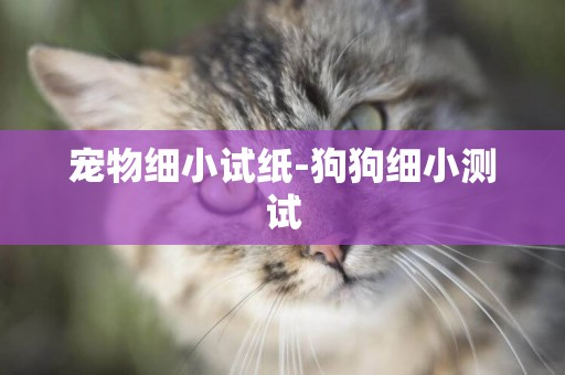 寵物細小試紙-狗狗細小測試