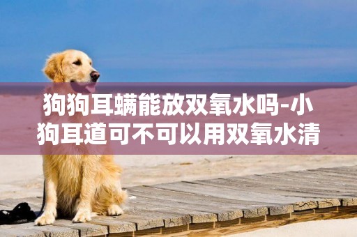 狗狗耳螨能放雙氧水嗎-小狗耳道可不可以用雙氧水清洗