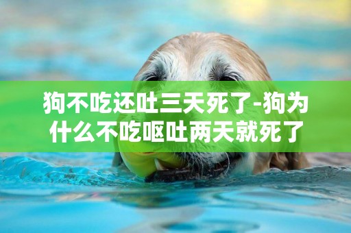 狗不吃還吐三天死了-狗為什么不吃嘔吐兩天就死了
