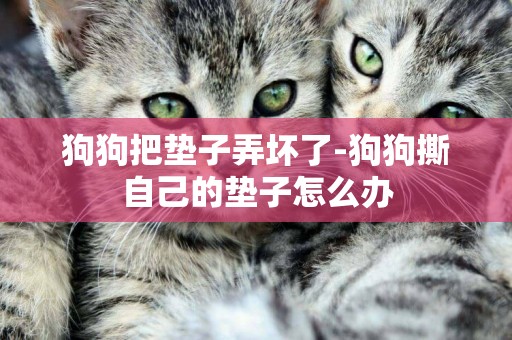 狗狗把墊子弄壞了-狗狗撕自己的墊子怎么辦