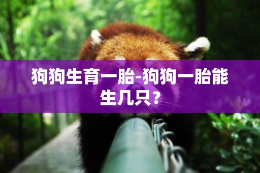 狗狗生育一胎-狗狗一胎能生幾只？