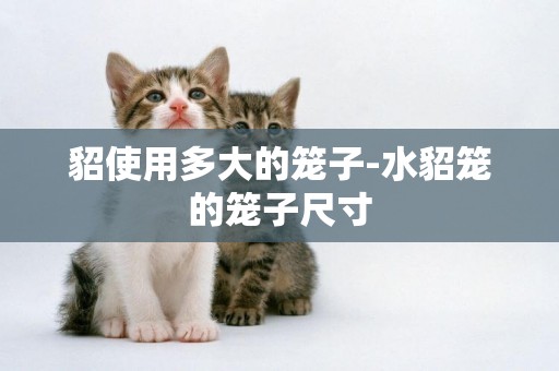 貂使用多大的籠子-水貂籠的籠子尺寸
