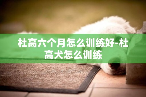 杜高六個月怎么訓練好-杜高犬怎么訓練
