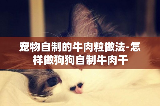 寵物自制的牛肉粒做法-怎樣做狗狗自制牛肉干