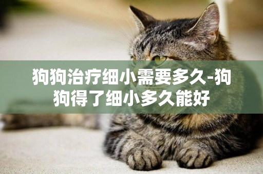 狗狗治療細小需要多久-狗狗得了細小多久能好