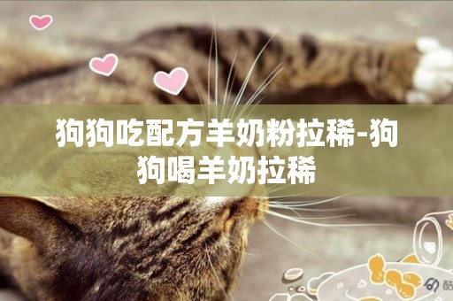 狗狗吃配方羊奶粉拉稀-狗狗喝羊奶拉稀