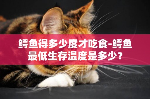 鱷魚得多少度才吃食-鱷魚最低生存溫度是多少？