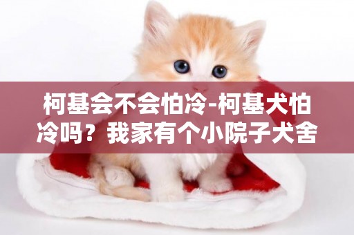 柯基會不會怕冷-柯基犬怕冷嗎？我家有個小院子犬舍也在小院里，犬舍里有絨墊子