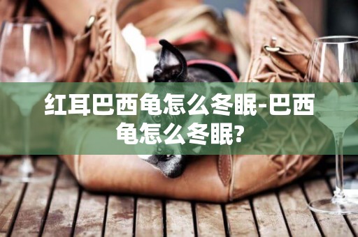 紅耳巴西龜怎么冬眠-巴西龜怎么冬眠?