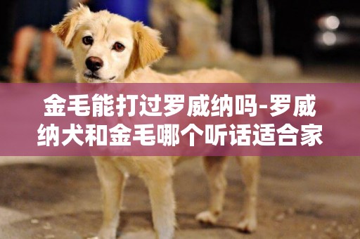 金毛能打過羅威納嗎-羅威納犬和金毛哪個聽話適合家養