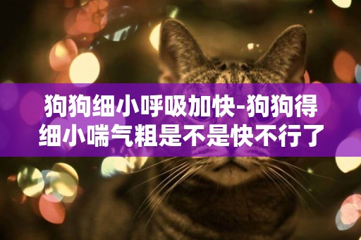 狗狗細小呼吸加快-狗狗得細小喘氣粗是不是快不行了