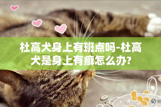 杜高犬身上有班點嗎-杜高犬是身上有癬怎么辦?