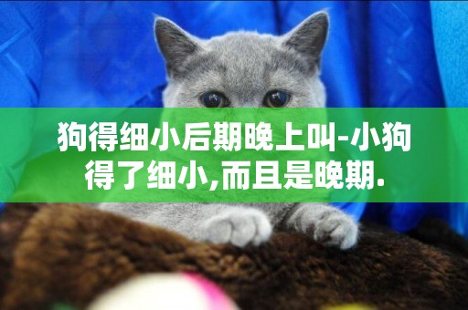 狗得細小后期晚上叫-小狗得了細小,而且是晚期.