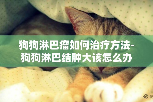 狗狗淋巴瘤如何治療方法-狗狗淋巴結腫大該怎么辦