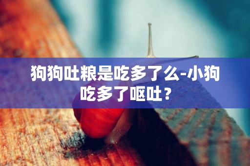 狗狗吐糧是吃多了么-小狗吃多了嘔吐？