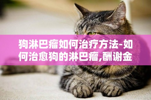 狗淋巴瘤如何治療方法-如何治愈狗的淋巴瘤,酬謝金10000元!
