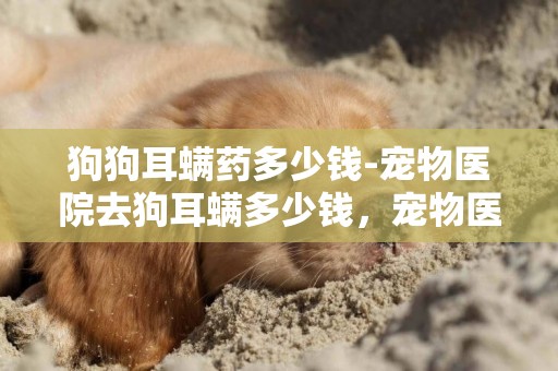 狗狗耳螨藥多少錢-寵物醫院去狗耳螨多少錢，寵物醫院治狗耳螨多少錢