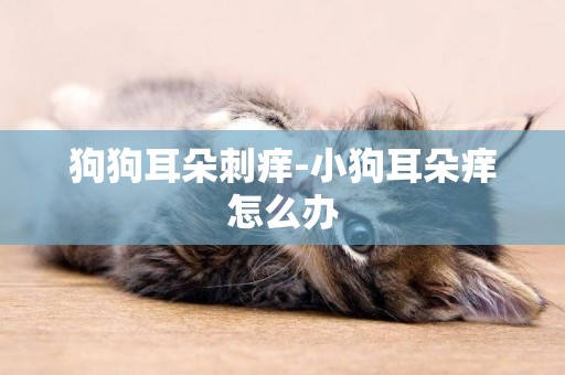 狗狗耳朵刺癢-小狗耳朵癢怎么辦