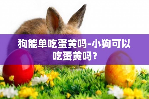 狗能單吃蛋黃嗎-小狗可以吃蛋黃嗎？