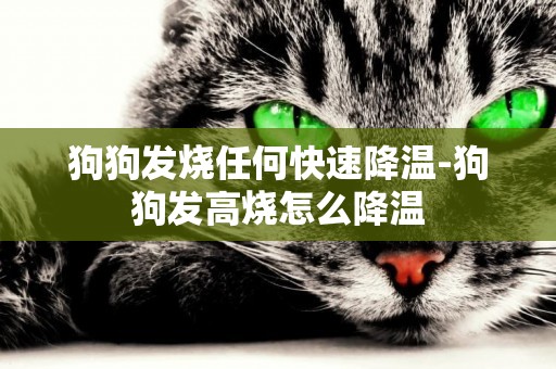 狗狗發燒任何快速降溫-狗狗發高燒怎么降溫