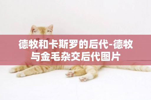 德牧和卡斯羅的后代-德牧與金毛雜交后代圖片