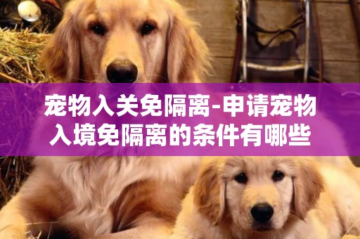 寵物入關免隔離-申請寵物入境免隔離的條件有哪些