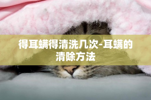 得耳螨得清洗幾次-耳螨的清除方法