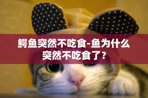 鱷魚突然不吃食-魚為什么突然不吃食了？