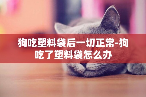 狗吃塑料袋后一切正常-狗吃了塑料袋怎么辦