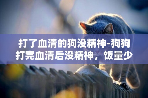 打了血清的狗沒精神-狗狗打完血清后沒精神，飯量少