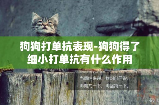 狗狗打單抗表現-狗狗得了細小打單抗有什么作用