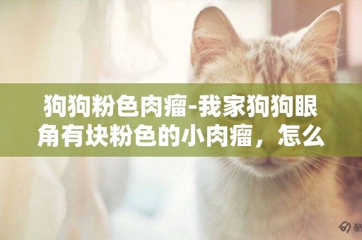 狗狗粉色肉瘤-我家狗狗眼角有塊粉色的小肉瘤，怎么辦啊