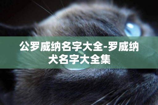 公羅威納名字大全-羅威納犬名字大全集