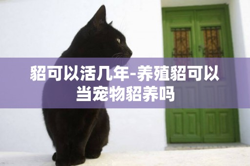 貂可以活幾年-養殖貂可以當寵物貂養嗎