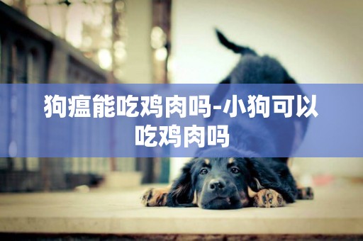 狗瘟能吃雞肉嗎-小狗可以吃雞肉嗎