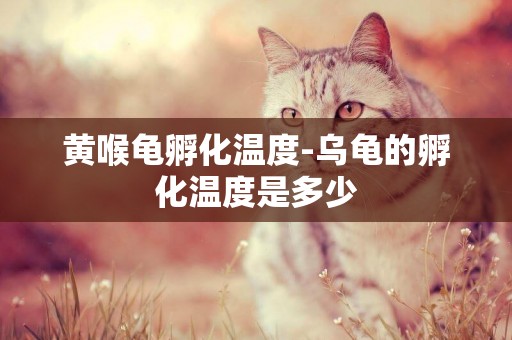 黃喉龜孵化溫度-烏龜的孵化溫度是多少