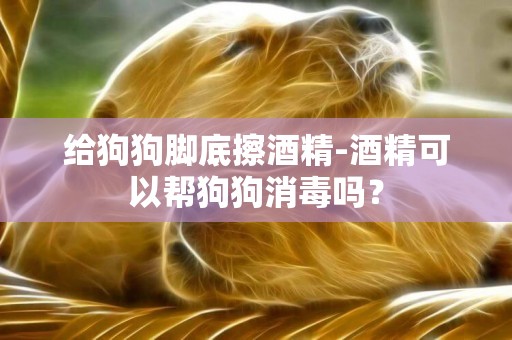 給狗狗腳底擦酒精-酒精可以幫狗狗消毒嗎？