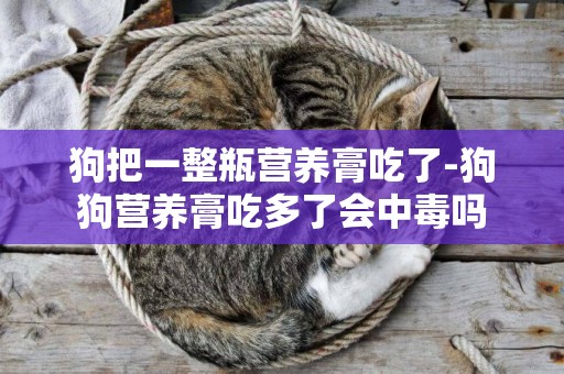 狗把一整瓶營養膏吃了-狗狗營養膏吃多了會中毒嗎