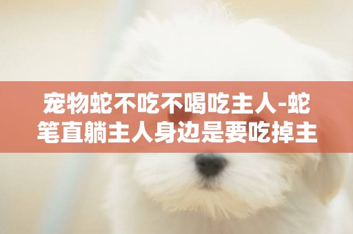 寵物蛇不吃不喝吃主人-蛇筆直躺主人身邊是要吃掉主人嗎