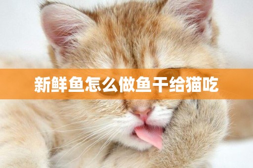 新鮮魚怎么做魚干給貓吃